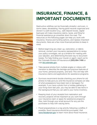 Organizing Records for Financial Stability Amid Wildfires