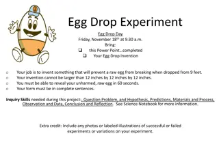 Egg Drop Experiment