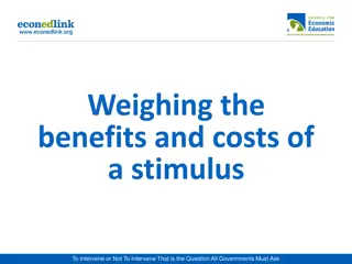 Government Intervention in Fiscal Policy