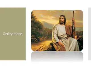 Reflecting on Gethsemane Prayer and Spiritual Struggle