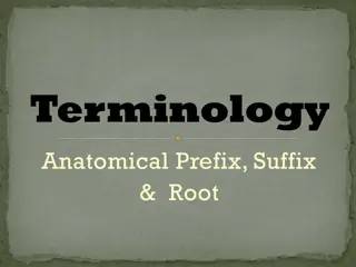 Terminology