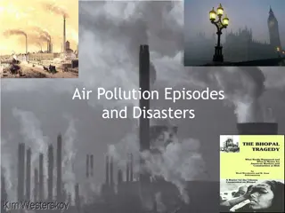 Air Pollution Episodes and Disasters