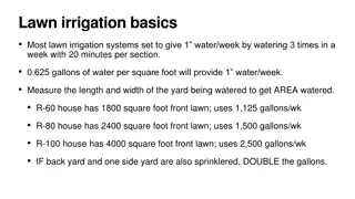 Lawn irrigation basics