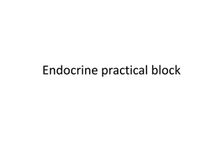 Endocrine practical block