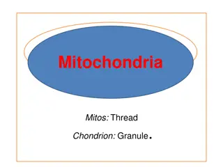 The Intriguing World of Mitochondria: Mitos and Chondrion Granule