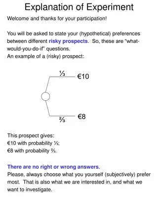 Risk Preference Experiment Overview