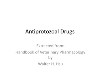 Antiprotozoal Drugs