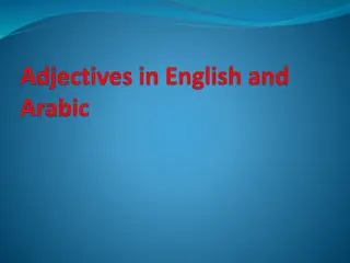 Adjective Positions in English Grammar