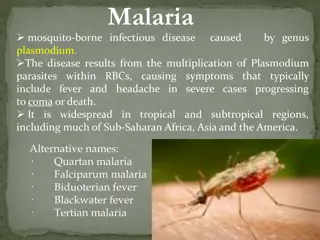 Malaria: Causes, Symptoms, and Paroxysms