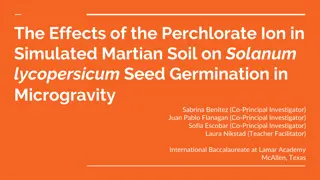 Impact of Perchlorate Ion on Seed Germination in Martian Soil