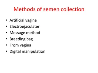 Methods of semen collection