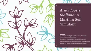 Growing Arabidopsis thaliana in Martian Soil Simulant: An Innovative Experiment