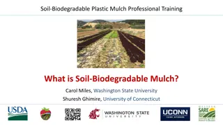 What is Soil-Biodegradable Mulch?