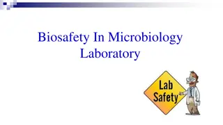 Biosafety In Microbiology  Laboratory