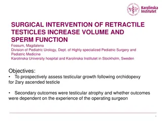 SURGICAL INTERVENTION OF RETRACTILE  TESTICLES INCREASE VOLUME AND  SPERM FUNCTION