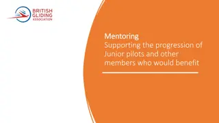 Supporting Junior Pilots: Mentoring for Progression
