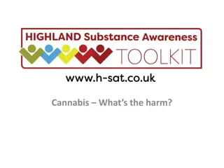 Risks and Benefits of Cannabis Usage