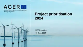 Project Prioritisation 2024 MESC Meeting - Regulatory Projects Planning and Portfolio