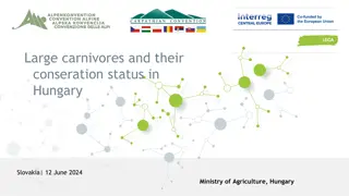 Conservation Status of Large Carnivores in Hungary and Slovakia