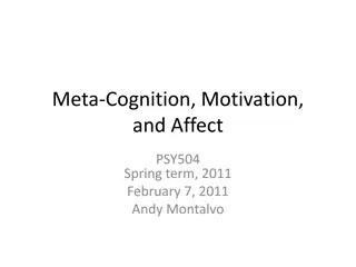 Meta-Cognition, Motivation, and Affect: Planning and Definitions