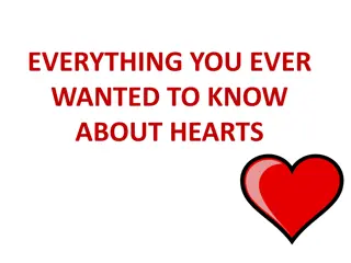 Anatomy of the Heart and Blood Flow Explained