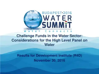 Challenge Funds in the Water Sector: Considerations for the High-Level Panel on Water