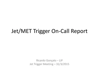 Jet/MET Trigger On-Call Report