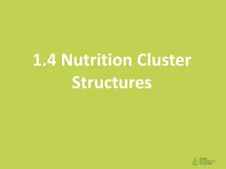 Nutrition Cluster Structures Overview