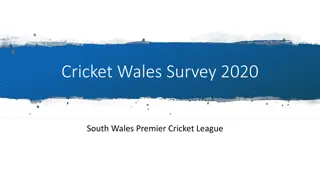 Cricket Wales Survey 2020
