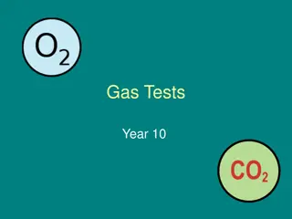 Gas Tests