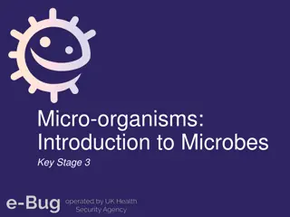 Introduction to Microbes - Key Stage 3 Learning