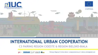 INTERNATIONAL URBAN COOPERATION