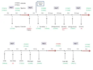 Unraveling the Mystery of Colorado Loops in Segments