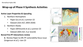 Permafrost Hydro WG Synthesis Activities and New Topics for Phase III