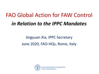 FAO Global Action for FAW Control in Relation to IPPC Mandates