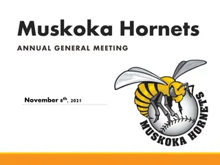 Muskoka Hornets