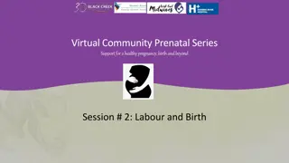 Virtual Community Prenatal Series