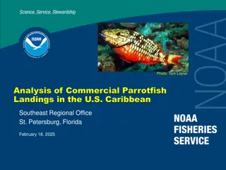 Analysis of U.S. Caribbean Parrotfish Landings and Regulations