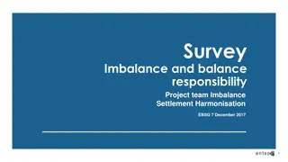Imbalance Settlement Harmonisation Survey Project Team