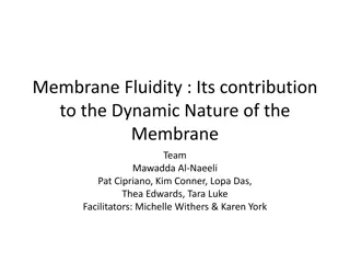 Membrane Fluidity and Adaptability