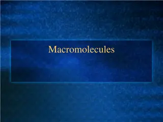 Macromolecules