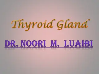 Physiological Anatomy of the Thyroid Gland