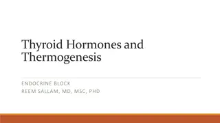 Thyroid Hormones and  Thermogenesis