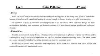 Noise Pollution in 4th Year