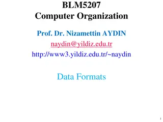 Data Formats in Computer Systems
