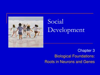 Biological Foundations of Social Interaction