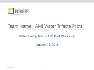 Team Name:  AMI Water Trifecta Pilots