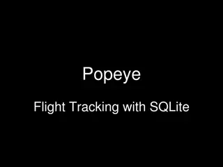 Simplifying Flight Tracking with SQLite and Birdseye