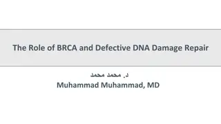BRCA and DNA Repair in Cancer