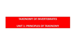 Principles of Invertebrate Taxonomy